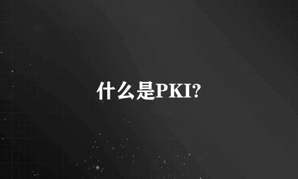 什么是PKI?