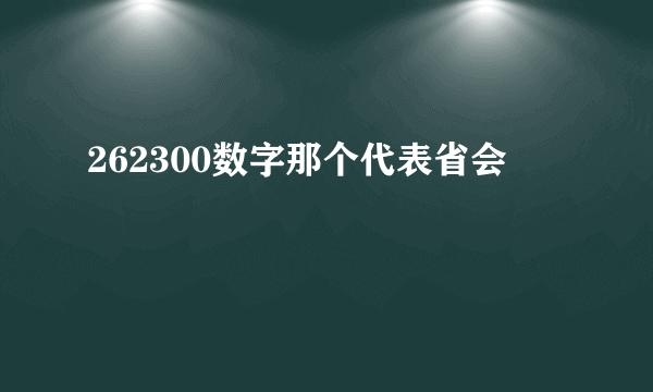 262300数字那个代表省会