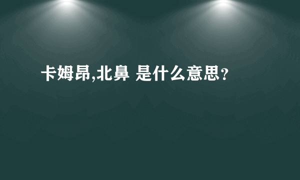 卡姆昂,北鼻 是什么意思？