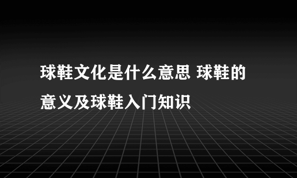 球鞋文化是什么意思 球鞋的意义及球鞋入门知识