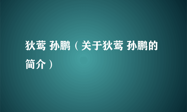 狄莺 孙鹏（关于狄莺 孙鹏的简介）