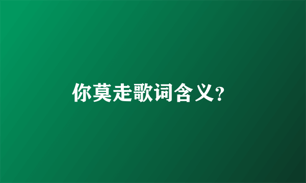 你莫走歌词含义？