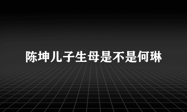 陈坤儿子生母是不是何琳