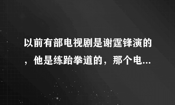 以前有部电视剧是谢霆锋演的，他是练跆拳道的，那个电视剧叫什么名字？