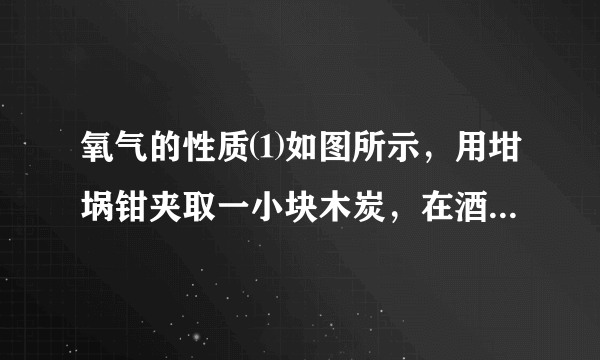 氧气的性质⑴如图所示，用坩埚钳夹取一小块木炭，在酒精灯上加热到发红，插入到收集到的氧气中(由瓶口向下缓慢插入)，观察木炭在氧气里燃烧的现象是_______________。燃烧停止后，取出坩埚钳向集气瓶中加入少量澄清石灰水，振荡。发生的现象是________________。⑵点燃系在螺旋状细铁丝底端的火柴，待火柴燃尽时，插入盛有氧气的集气瓶中(瓶中预先加有少量水)。观察铁丝在氧气中燃烧的现象是_______________________________。