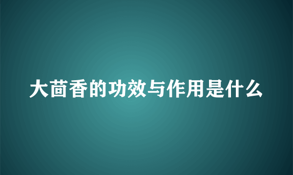 大茴香的功效与作用是什么