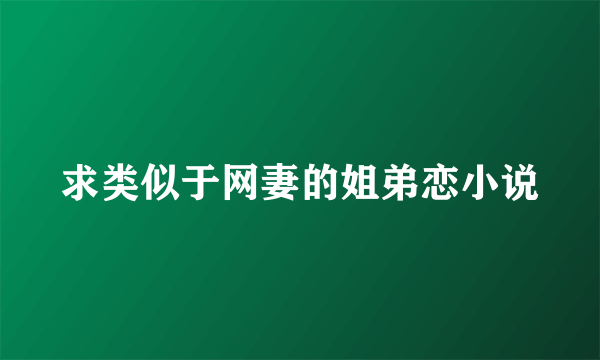 求类似于网妻的姐弟恋小说