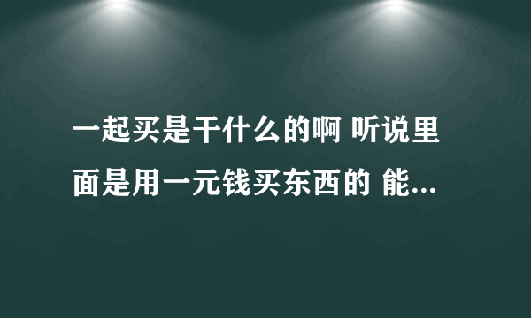 一起买是干什么的啊 听说里面是用一元钱买东西的 能解释下不？