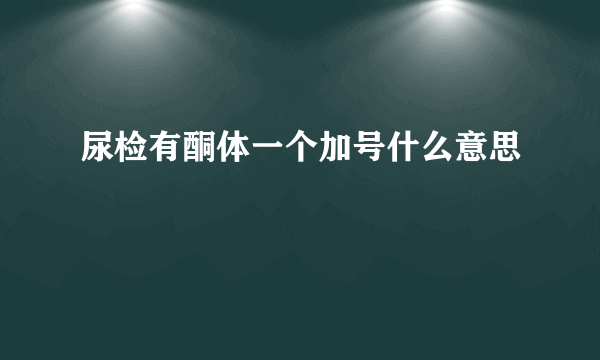 尿检有酮体一个加号什么意思