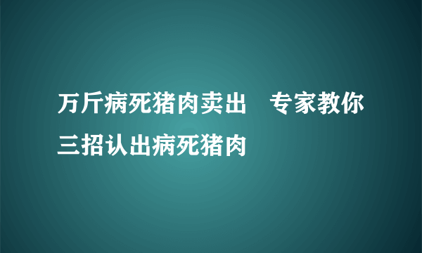 万斤病死猪肉卖出   专家教你三招认出病死猪肉