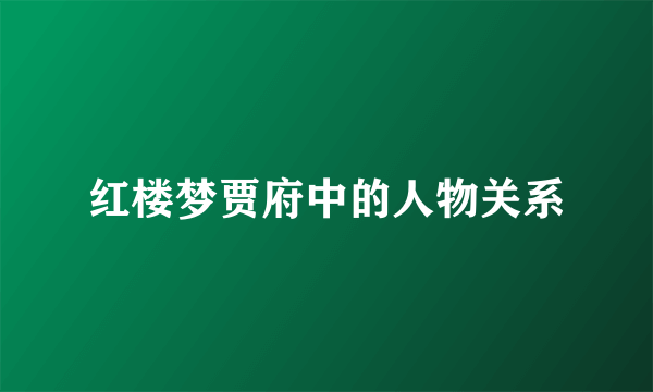 红楼梦贾府中的人物关系