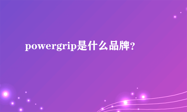 powergrip是什么品牌？