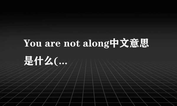 You are not along中文意思是什么(歌词)？