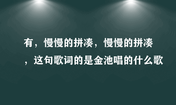 有，慢慢的拼凑，慢慢的拼凑，这句歌词的是金池唱的什么歌