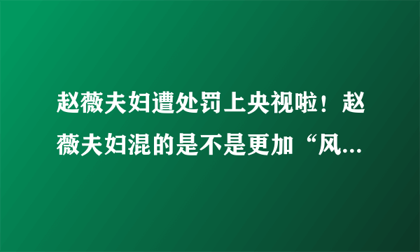 赵薇夫妇遭处罚上央视啦！赵薇夫妇混的是不是更加“风生水起”呢？