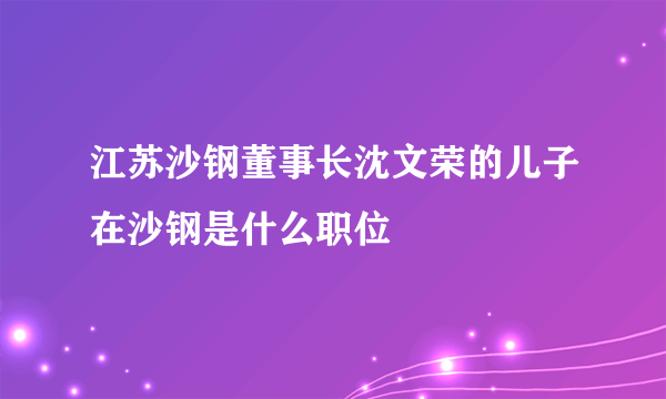 江苏沙钢董事长沈文荣的儿子在沙钢是什么职位