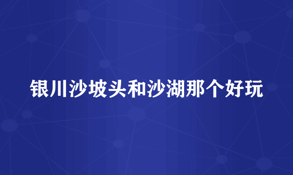 银川沙坡头和沙湖那个好玩