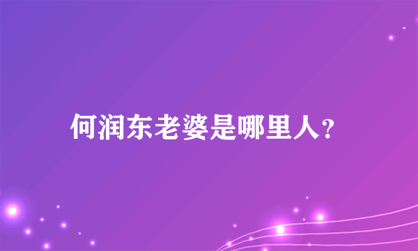 何润东老婆是哪里人？