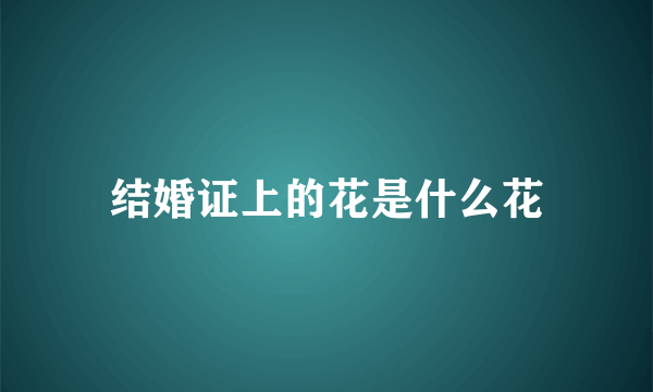 结婚证上的花是什么花