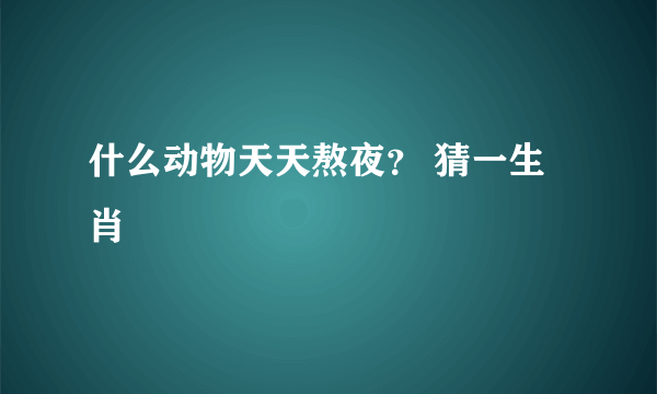 什么动物天天熬夜？ 猜一生肖