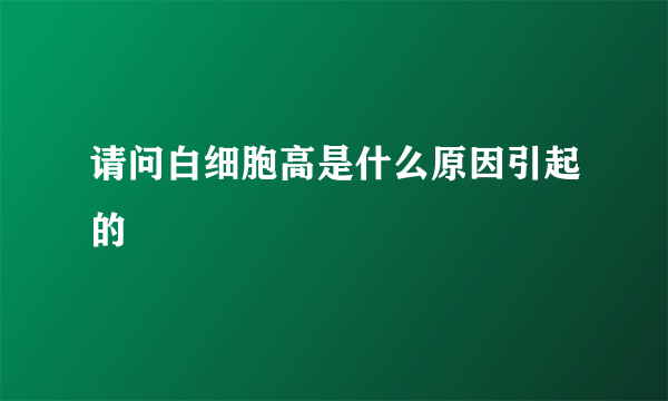 请问白细胞高是什么原因引起的