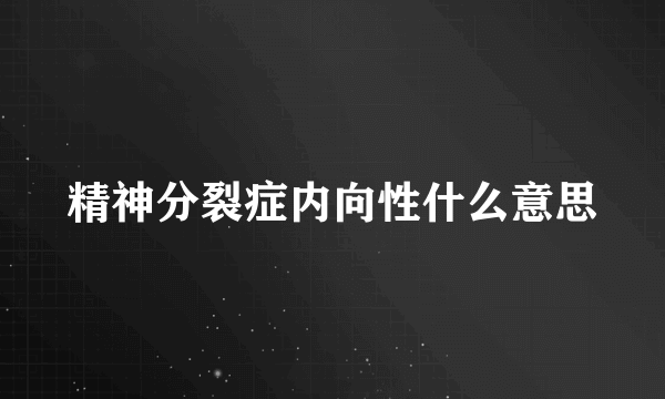 精神分裂症内向性什么意思