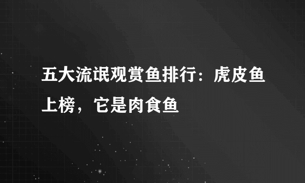 五大流氓观赏鱼排行：虎皮鱼上榜，它是肉食鱼