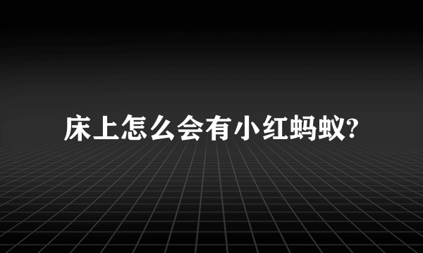 床上怎么会有小红蚂蚁?