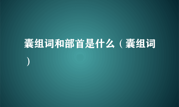 囊组词和部首是什么（囊组词）