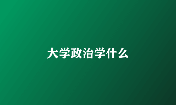 大学政治学什么