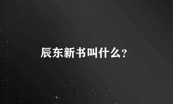 辰东新书叫什么？