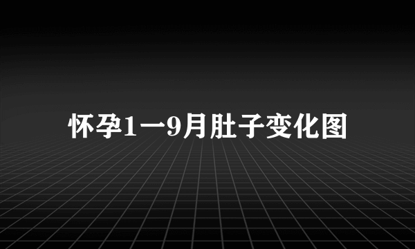 怀孕1一9月肚子变化图