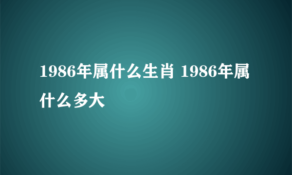 1986年属什么生肖 1986年属什么多大