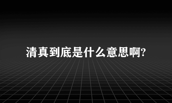 清真到底是什么意思啊?