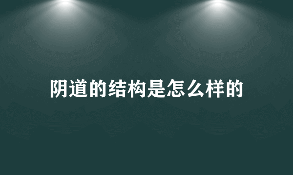 阴道的结构是怎么样的