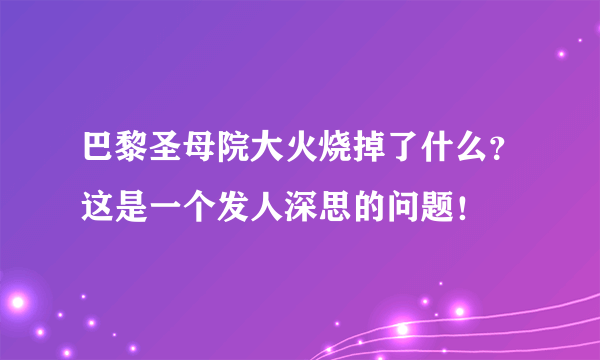 巴黎圣母院大火烧掉了什么？这是一个发人深思的问题！