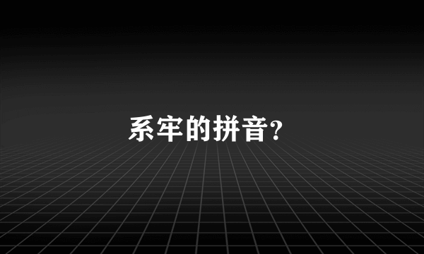 系牢的拼音？