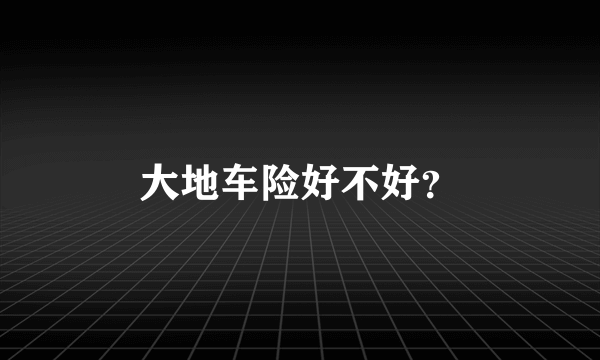 大地车险好不好？