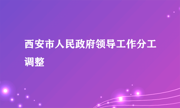 西安市人民政府领导工作分工调整