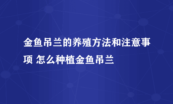 金鱼吊兰的养殖方法和注意事项 怎么种植金鱼吊兰