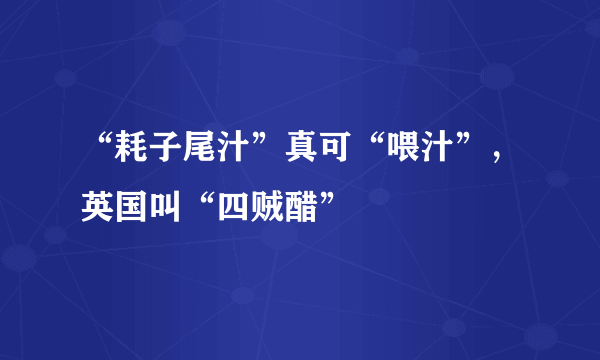 “耗子尾汁”真可“喂汁”，英国叫“四贼醋”