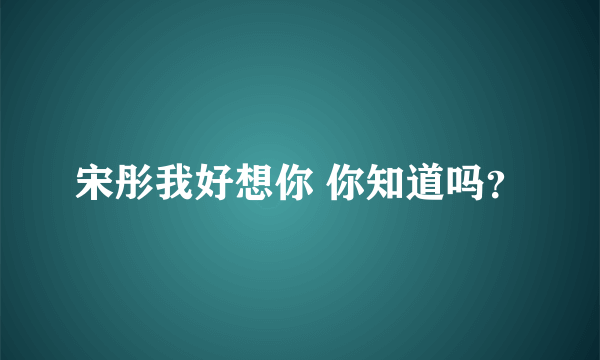 宋彤我好想你 你知道吗？