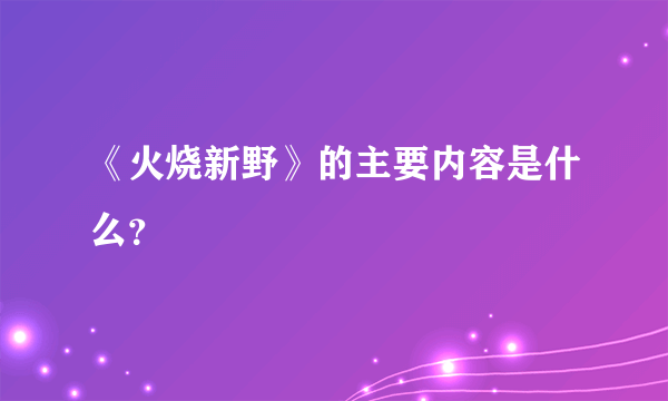 《火烧新野》的主要内容是什么？