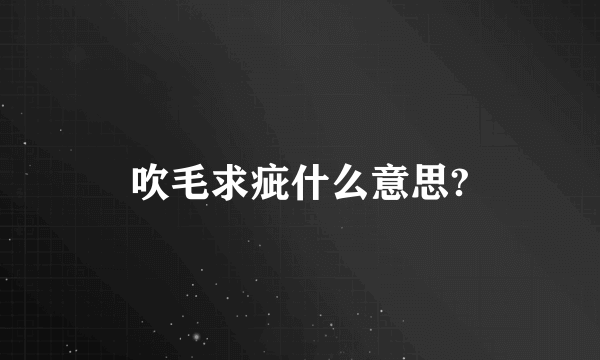 吹毛求疵什么意思?