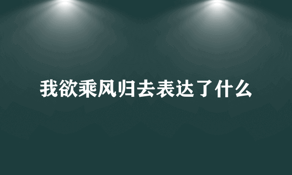 我欲乘风归去表达了什么