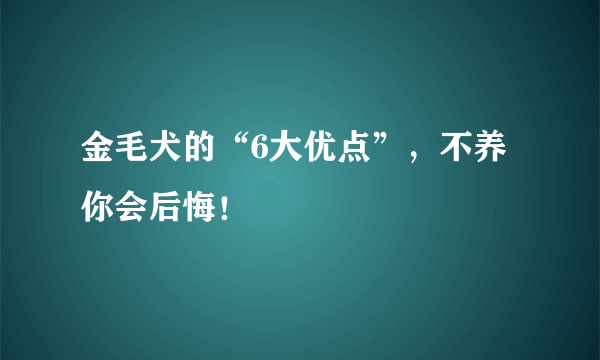 金毛犬的“6大优点”，不养你会后悔！