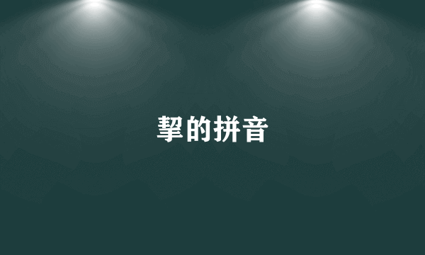 挈的拼音