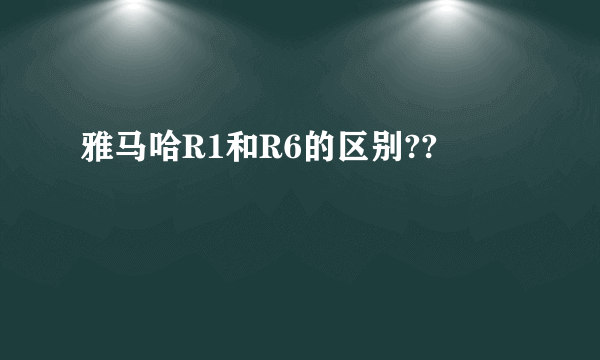 雅马哈R1和R6的区别??