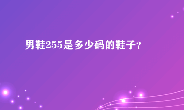 男鞋255是多少码的鞋子？