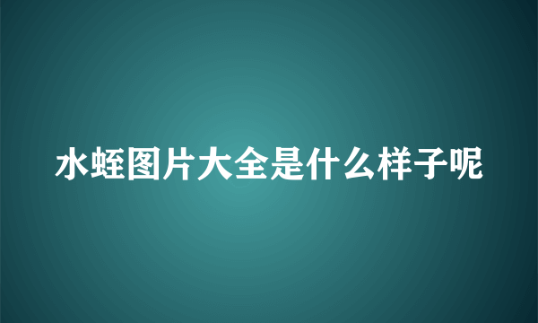 水蛭图片大全是什么样子呢